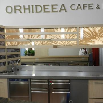 Ferestre si usi din lemn stratificat